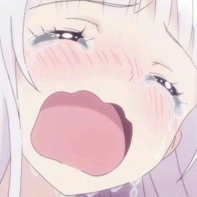 《白日提灯》今日开播